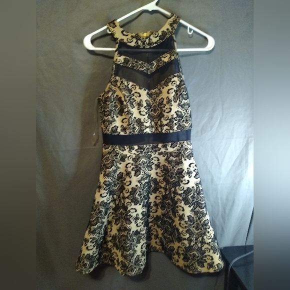 Elegant Windsor Sleeveless Tan And Black Lace Mini Dress - Picture 1 of 3